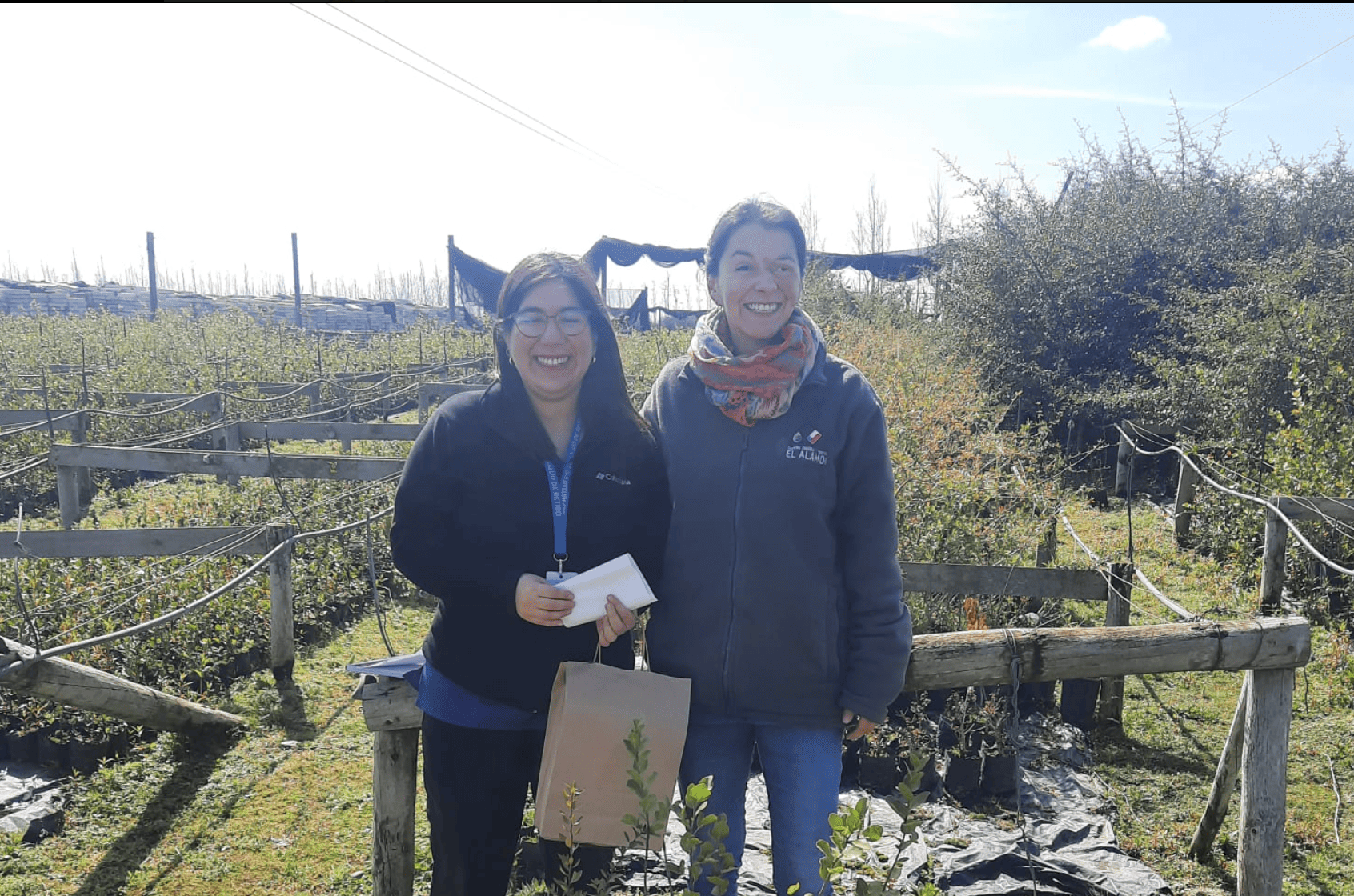 Captura de pantalla 2025-11-21 a la(s) 11.25.26 a.m.